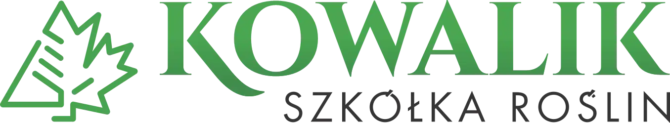 KOWALIK szkółka roślin drzew liściastych, traw i krzewów, drzew iglastych