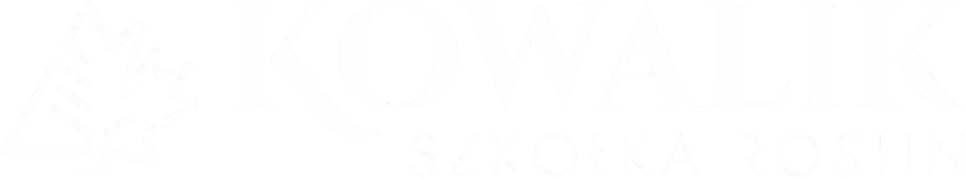 KOWALIK szkółka roślin drzew liściastych, traw i krzewów, drzew iglastych